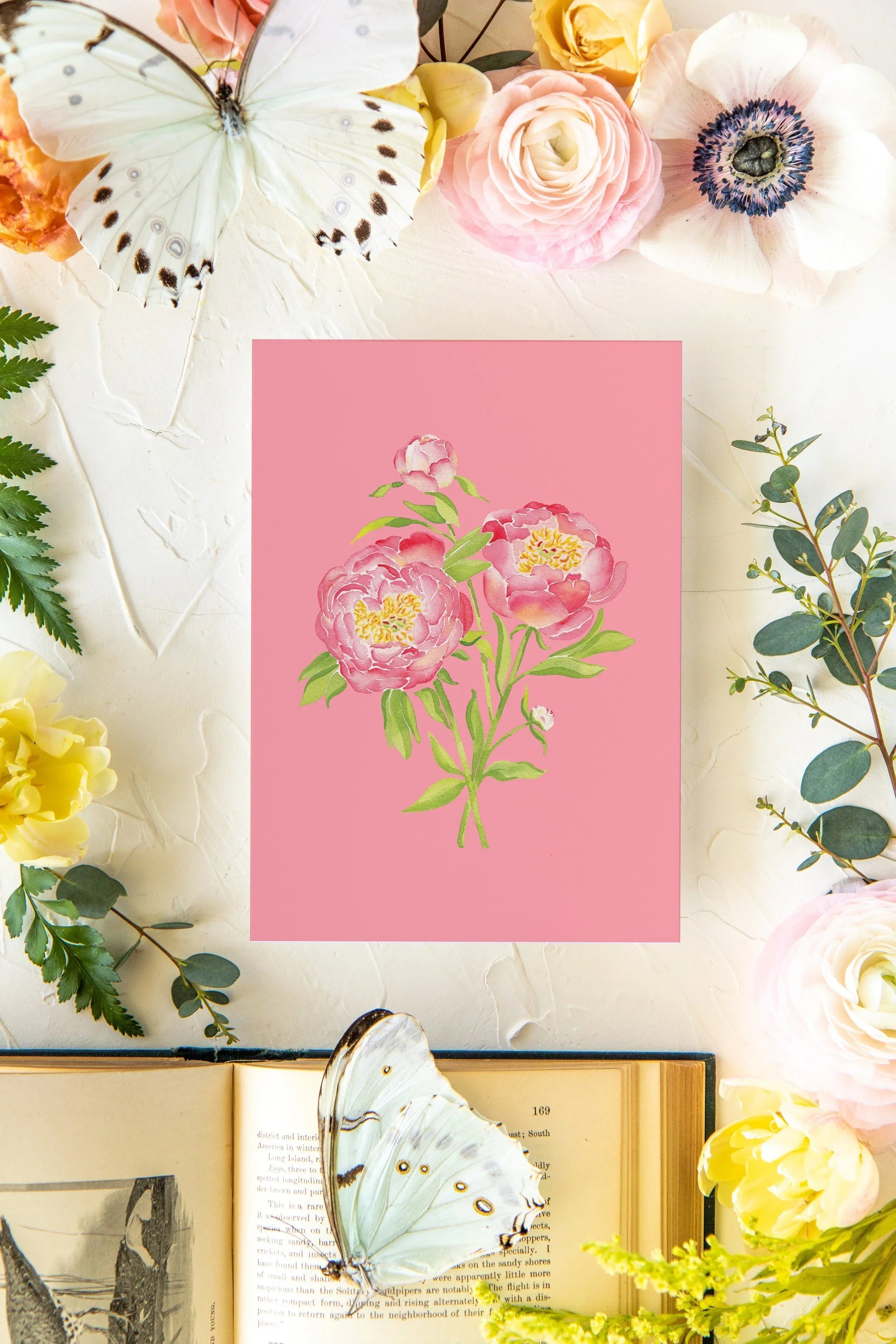 Colorful Botanical 5x7 Print - Peony