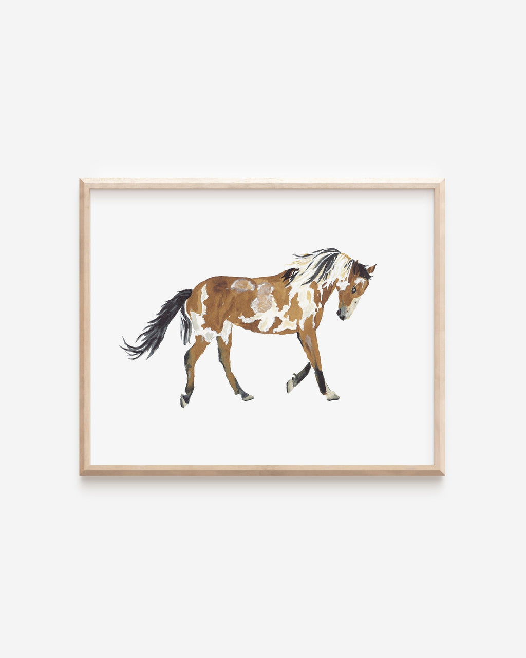 Picasso the Wild Mustang Art Print 8x10
