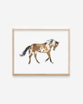 Picasso the Wild Mustang Art Print 8x10