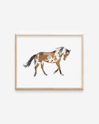 Picasso the Wild Mustang Art Print 8x10