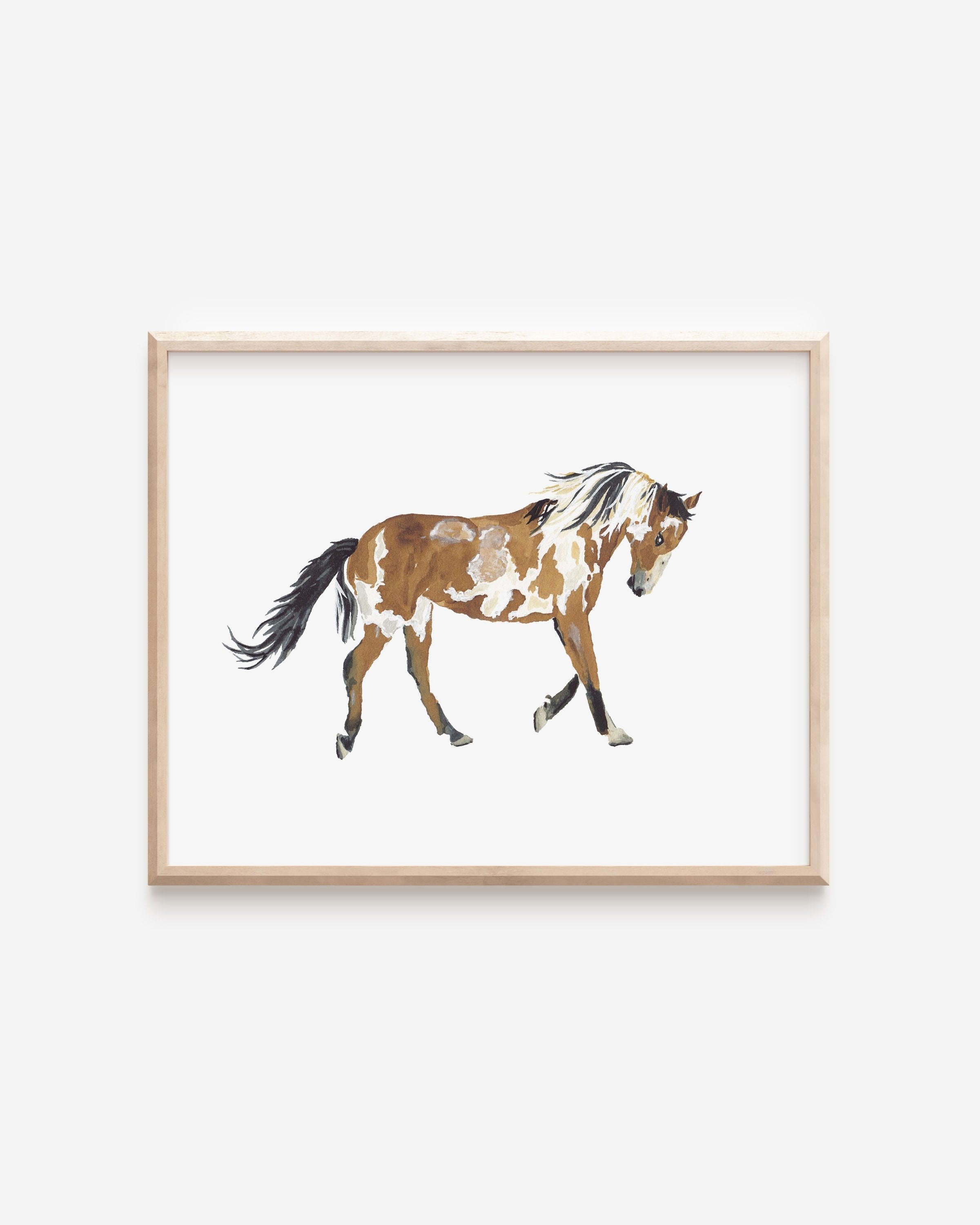 Picasso the Wild Mustang Art Print 8x10