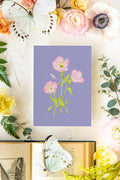 Colorful Botanical 5x7 Print - Pink Evening Primrose