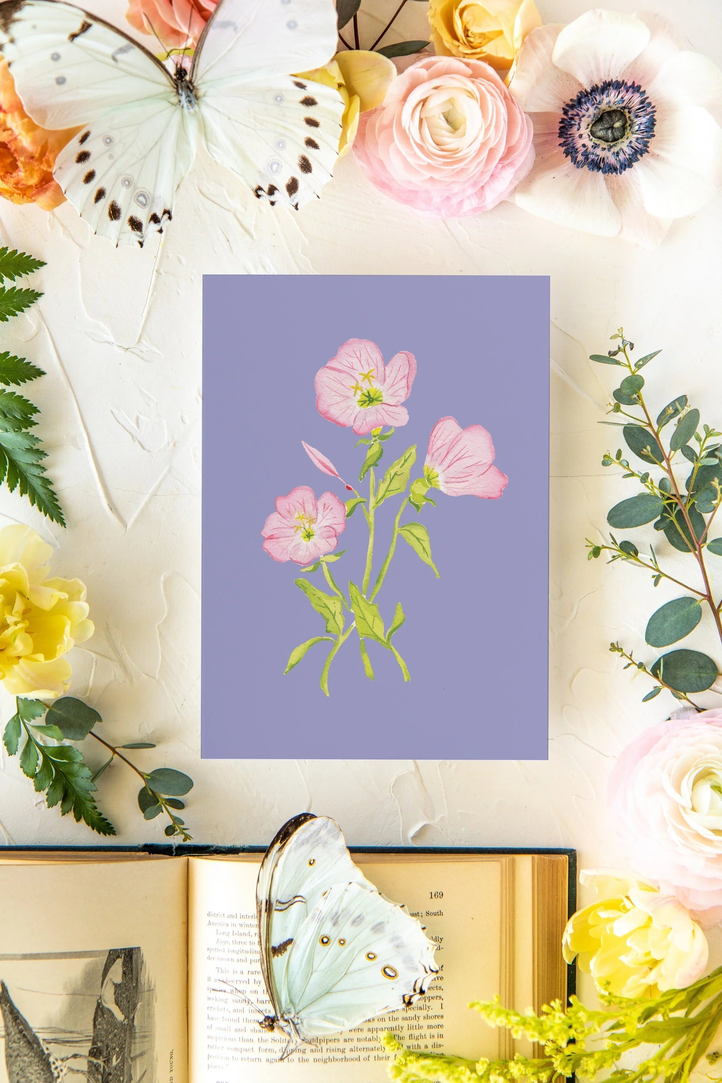 Colorful Botanical 5x7 Print - Pink Evening Primrose