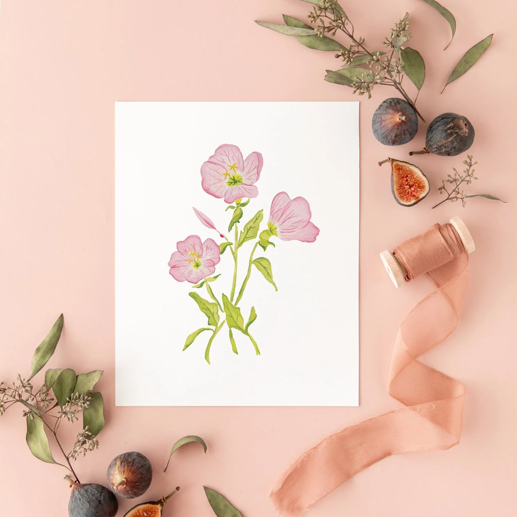 Botanical Art Prints 8x10 - Pink Evening Primrose
