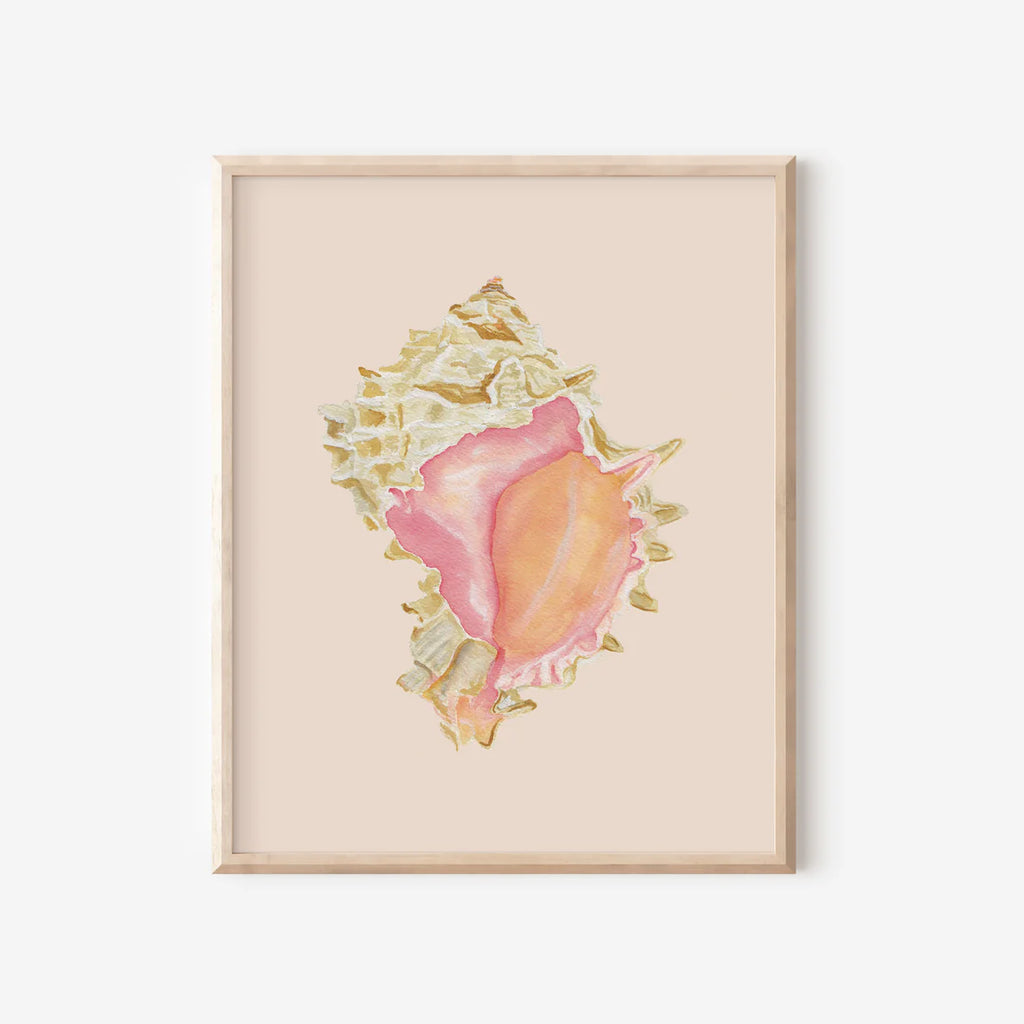 Pink Murex Art Print Colorful 5x7