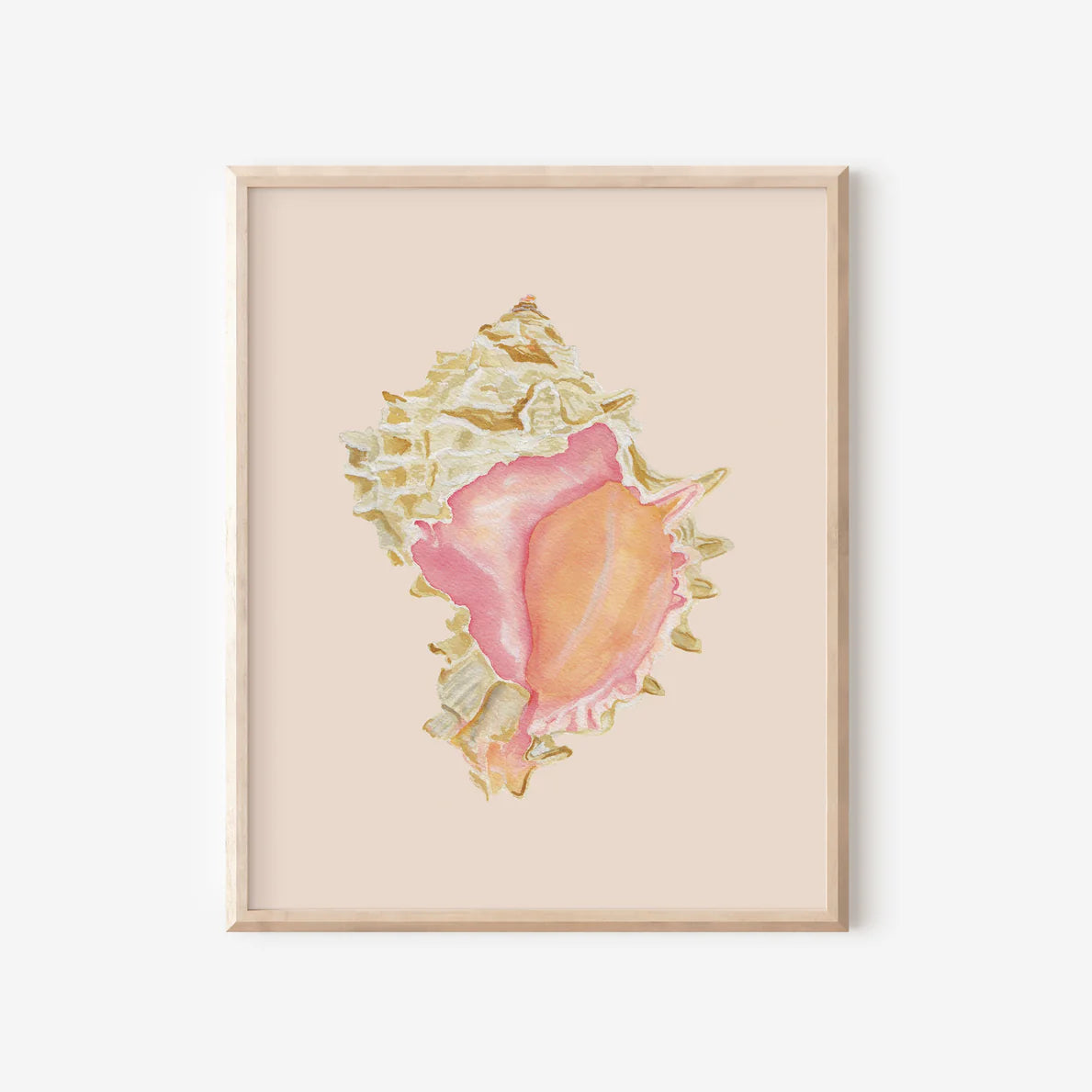Pink Murex Art Print Colorful 5x7