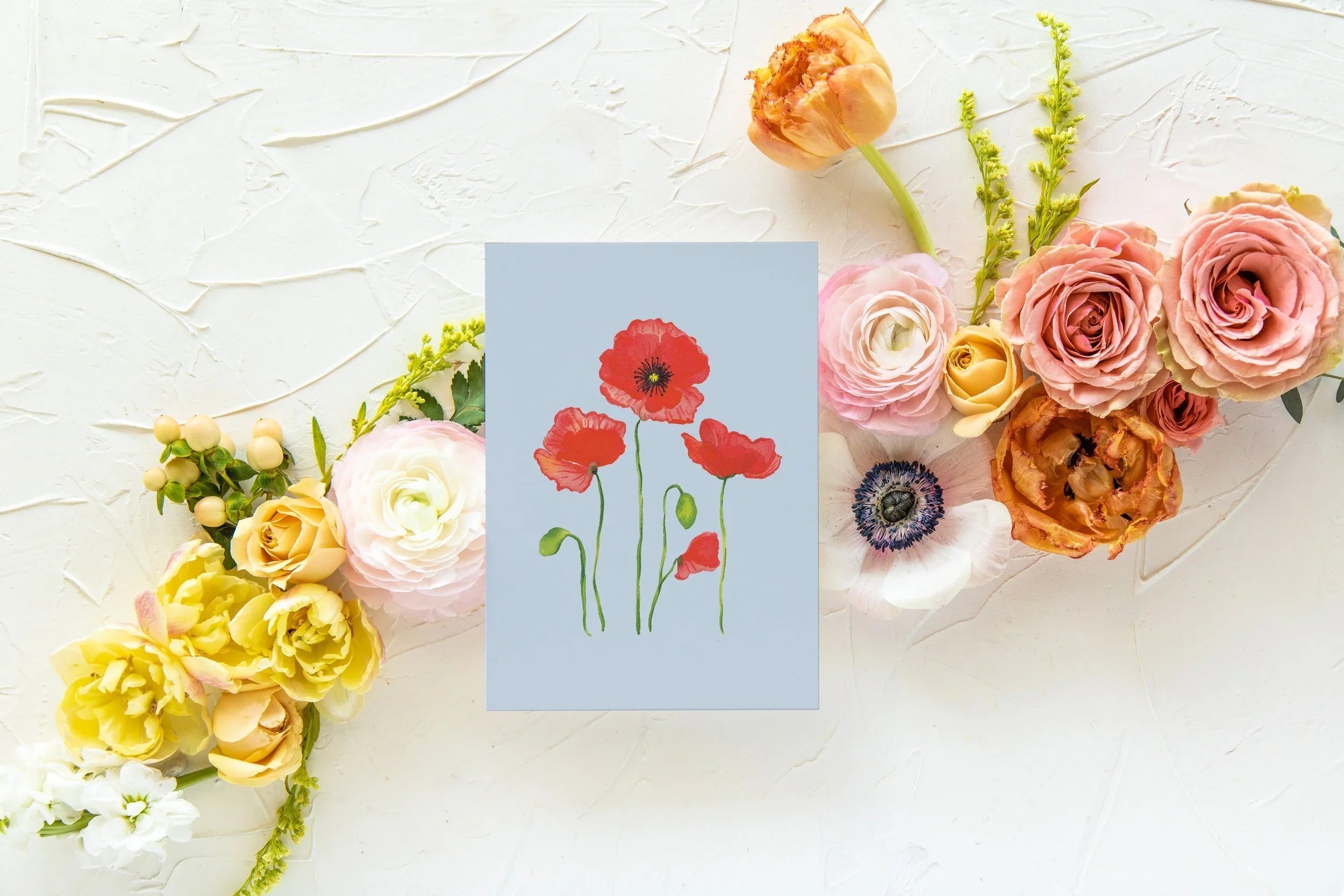 Blue Botanical 5x7 Prints - Poppy