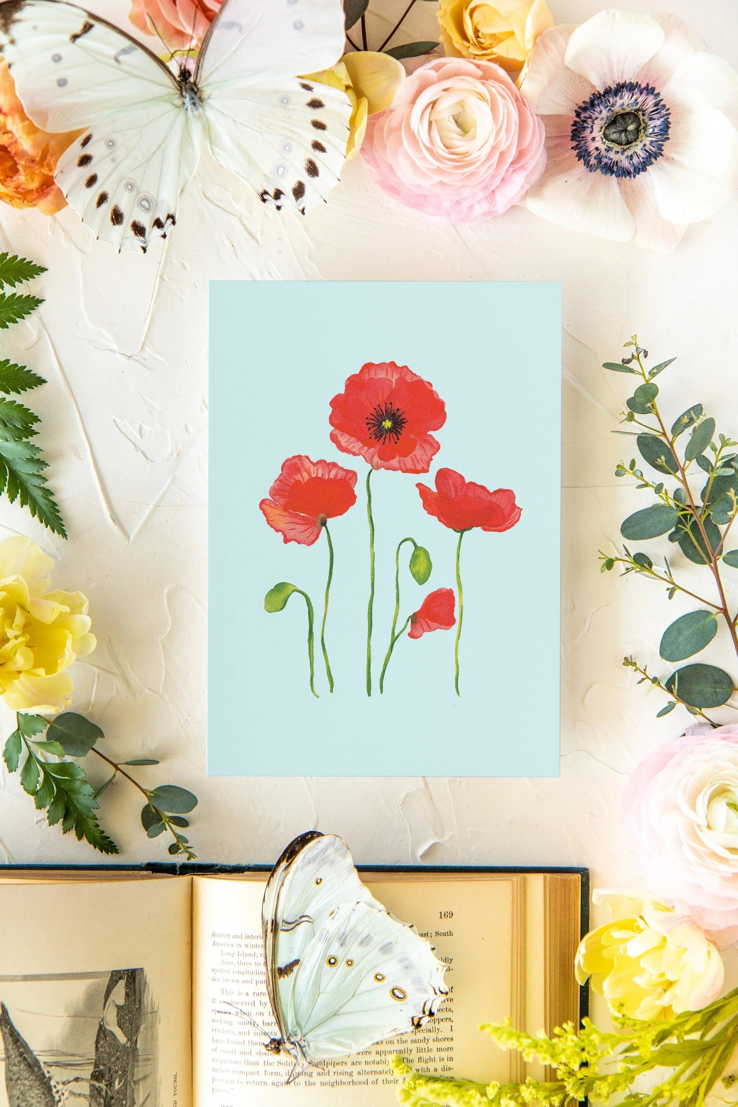 Colorful Botanical 5x7 Print - Poppy