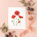 Botanical Art Prints 8x10 - Poppy