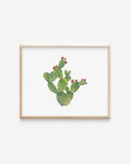 Prickly Pear Cactus Art Print 8x10