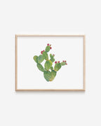 Prickly Pear Cactus Art Print 8x10