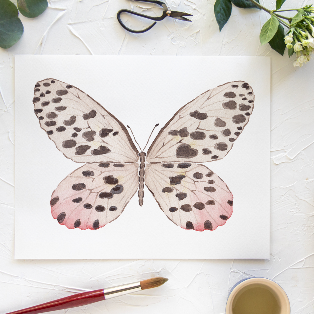 Butterfly No. 11 Print 8x10