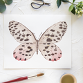 Butterfly No. 11 Print 8x10