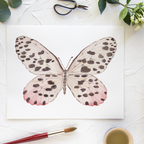 Butterfly No. 11 Print 8x10