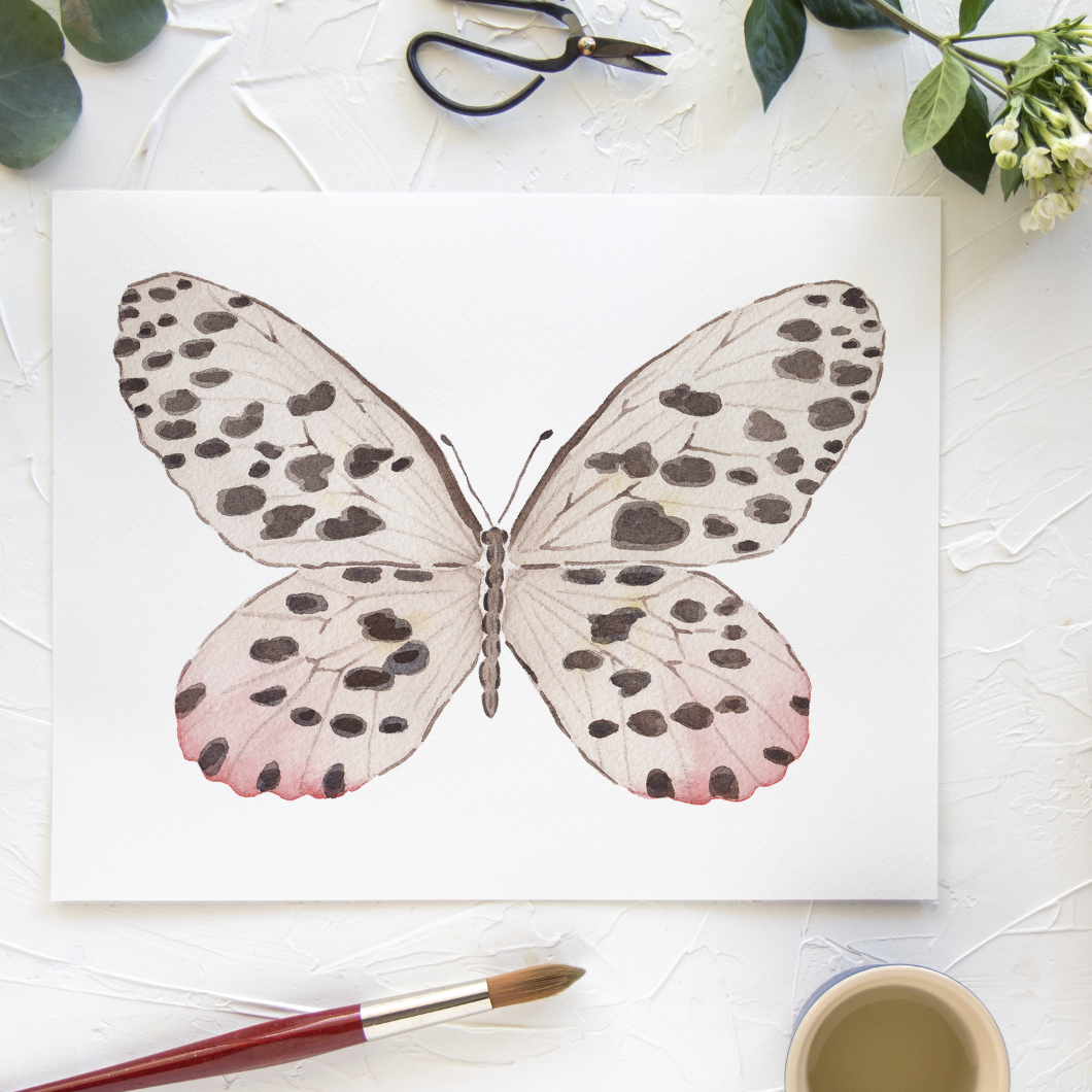 Butterfly No. 11 Print 8x10