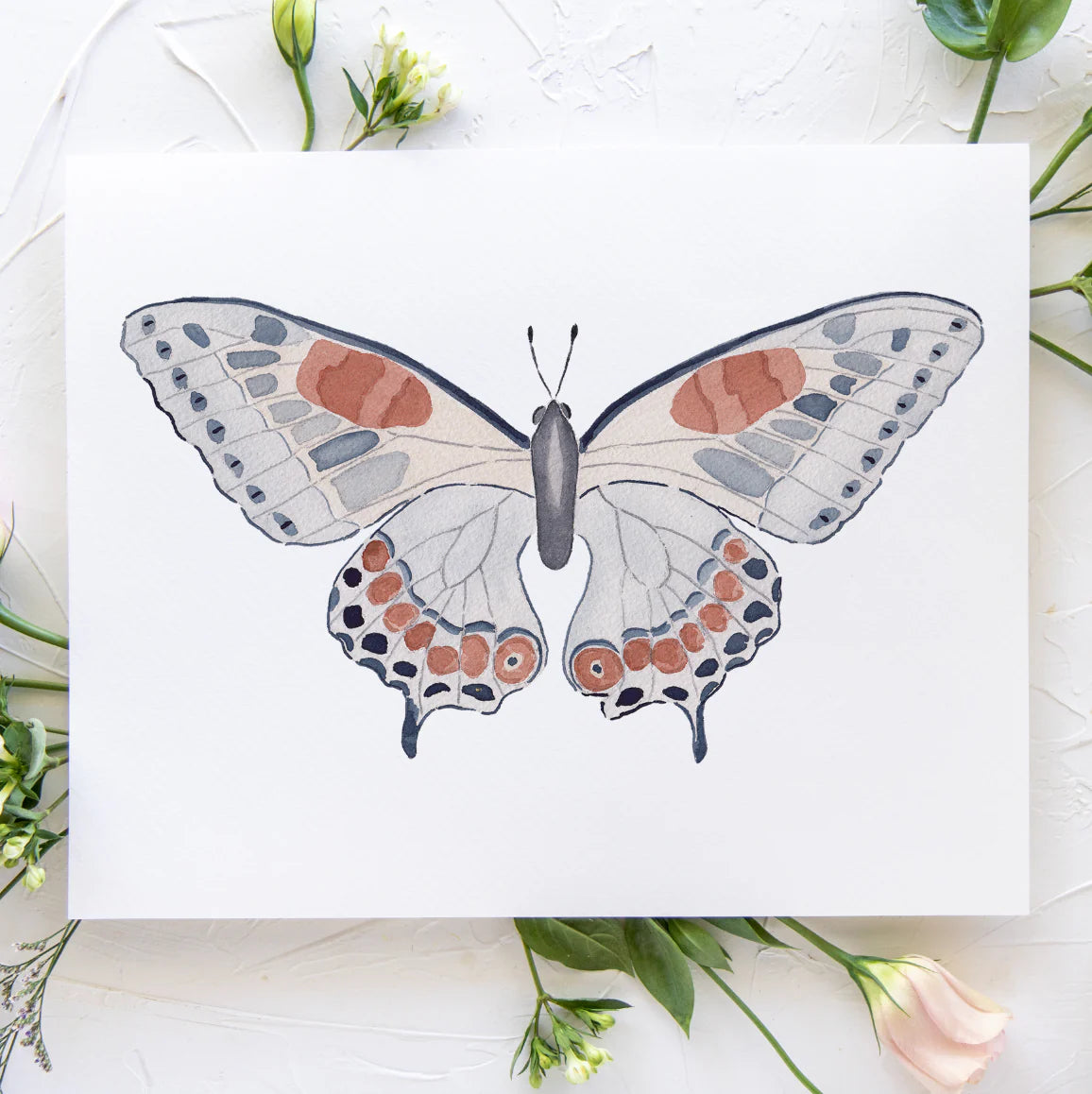 Butterfly No. 13 Print 8x10