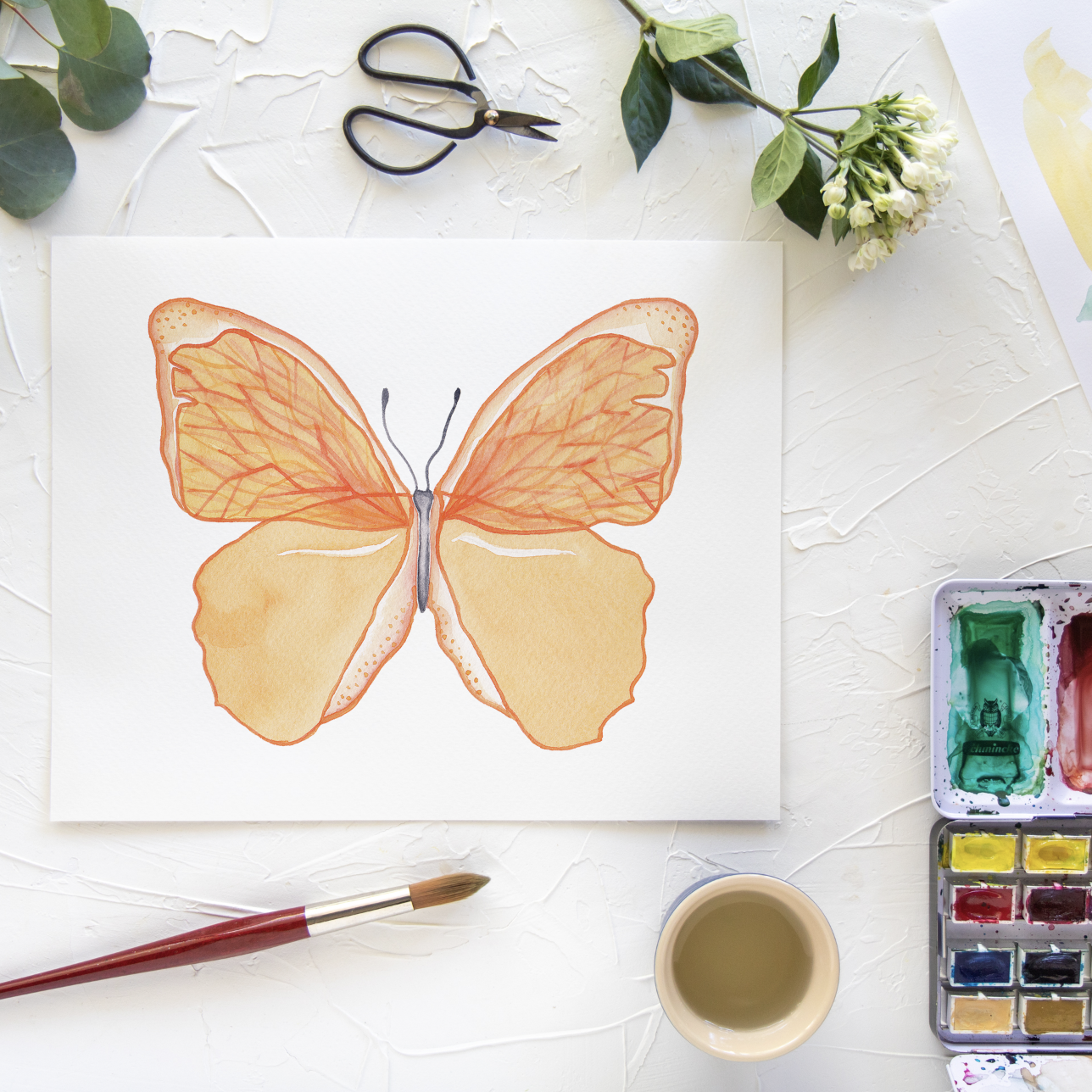 Butterfly No. 14 Print 8x10