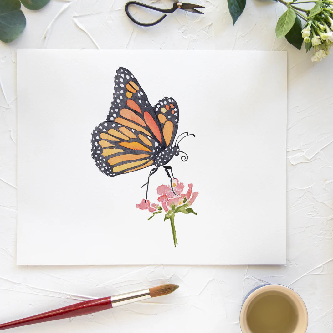 Butterfly No. 18 Print 8x10