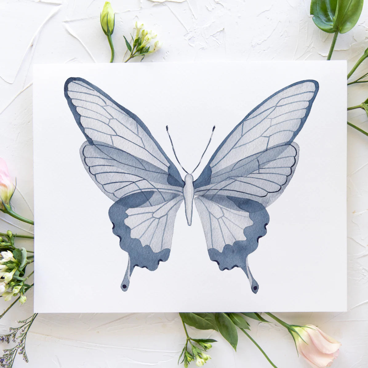 Butterfly No. 19 Print 8x10