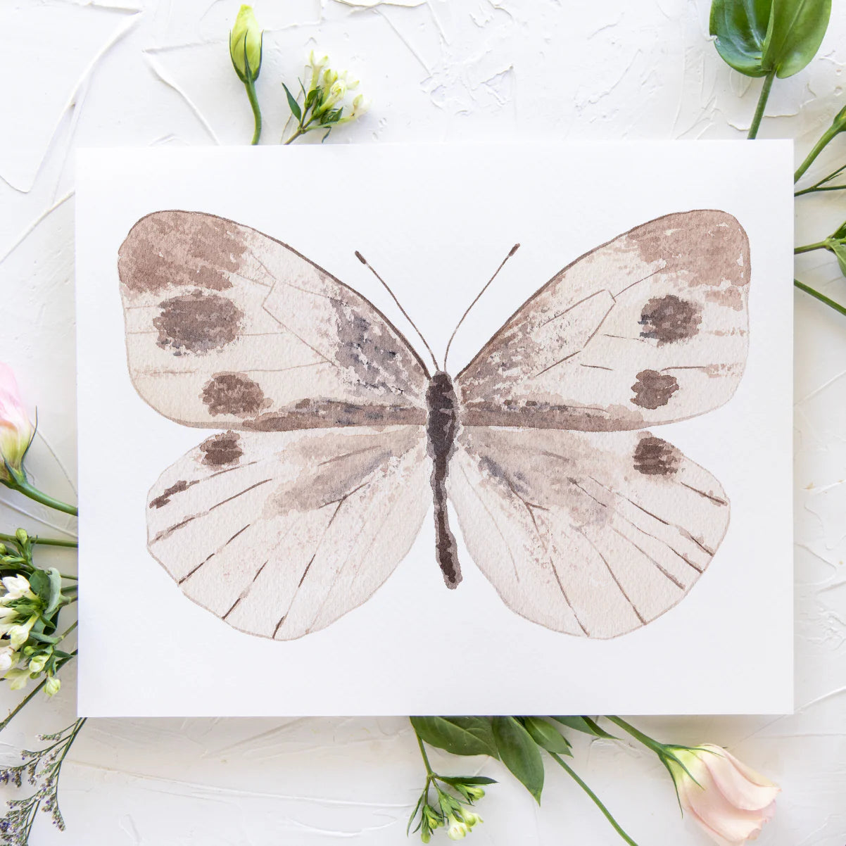 Butterfly No. 21 Print 8x10