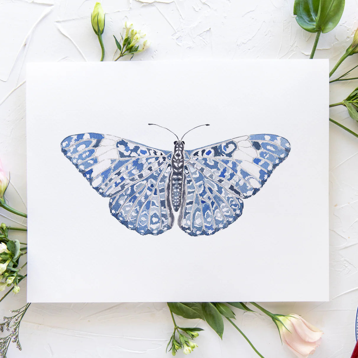Butterfly No. 22 Print 8x10