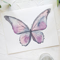 Butterfly No. 23 Print 8x10