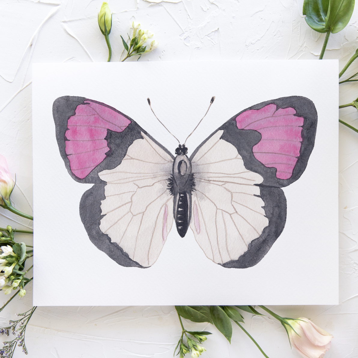 Butterfly No. 26 Print 8x10