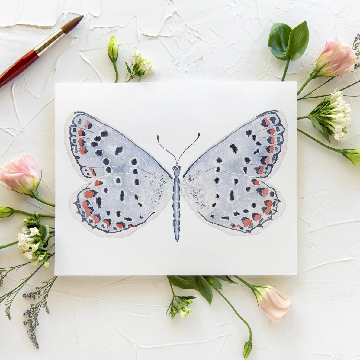 Butterfly No. 27 Print 8x10