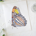 Butterfly No. 28 Print 8x10