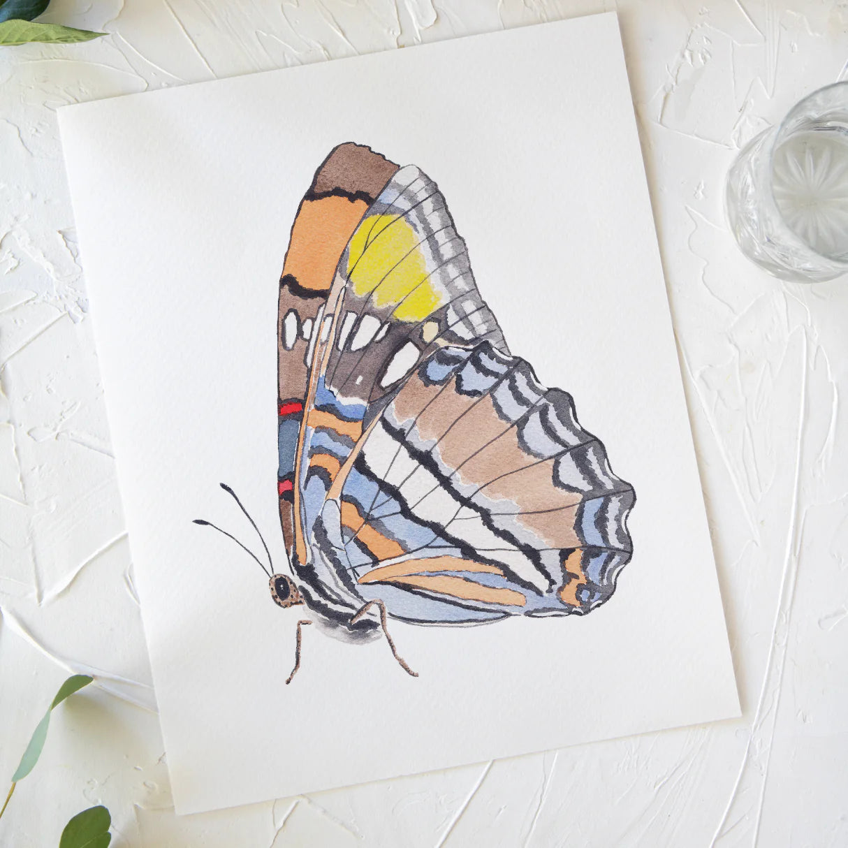 Butterfly No. 28 Print 8x10