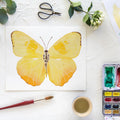 Butterfly No. 30 Print 8x10