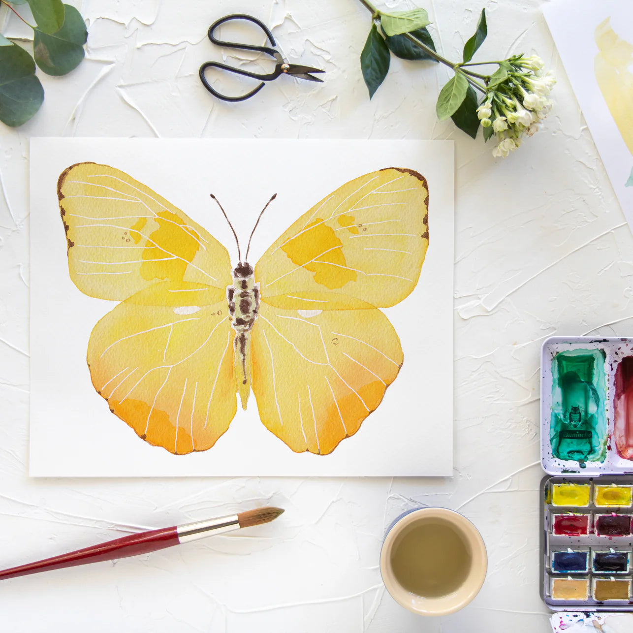 Butterfly No. 30 Print 8x10