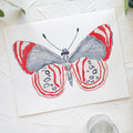Butterfly No. 31 Print 8x10