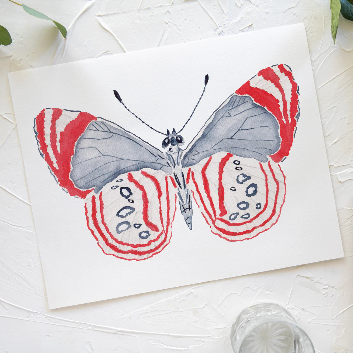 Butterfly No. 31 Print 8x10