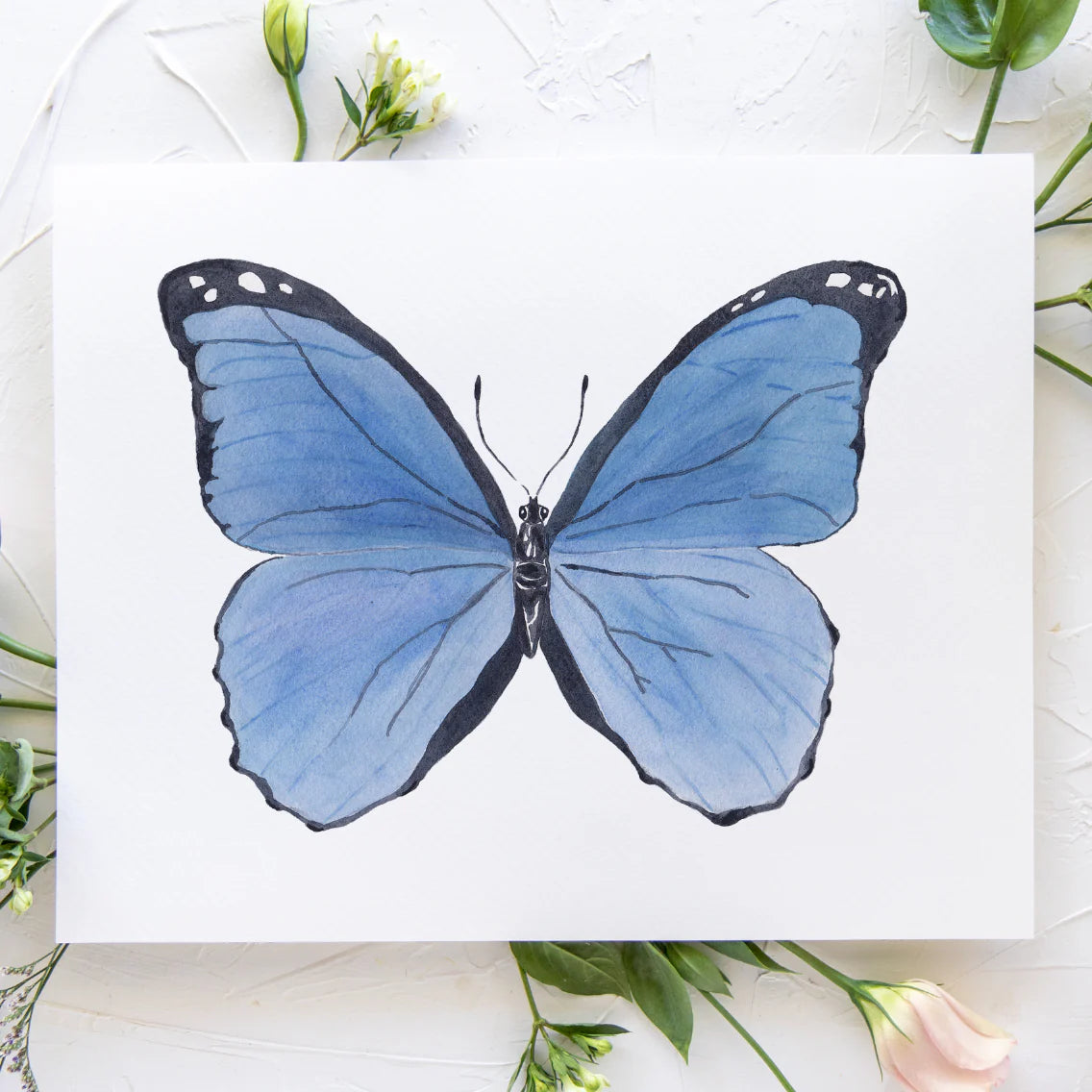 Butterfly No. 4 Print 8x10