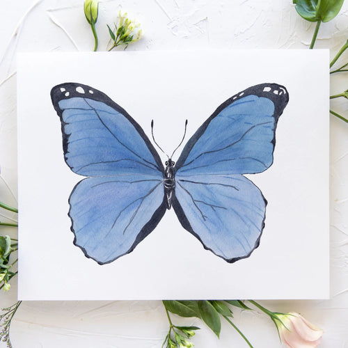 Butterfly No. 4 Print 8x10