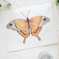 Butterfly No. 5 Print 8x10