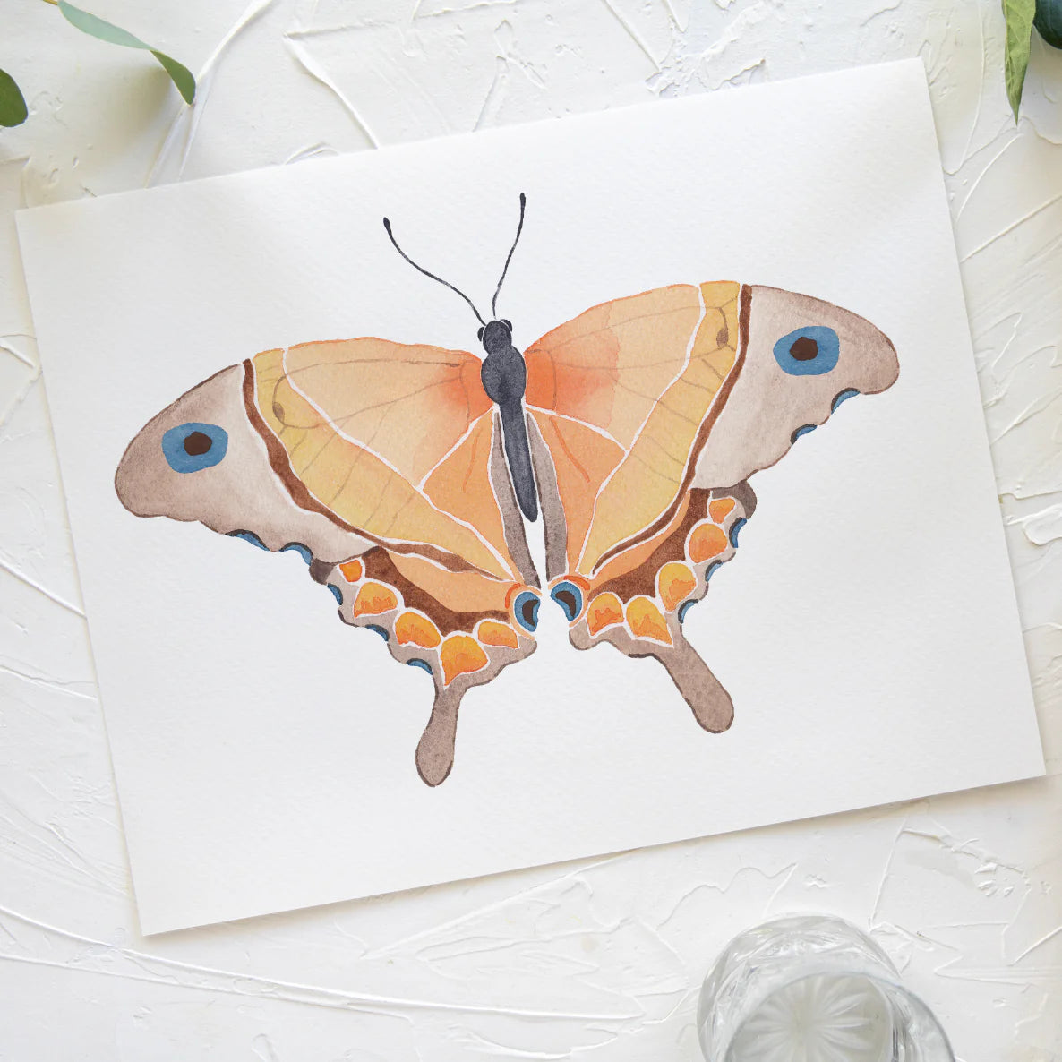 Butterfly No. 5 Print 8x10