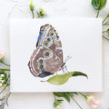 Butterfly No. 7 Print 8x10