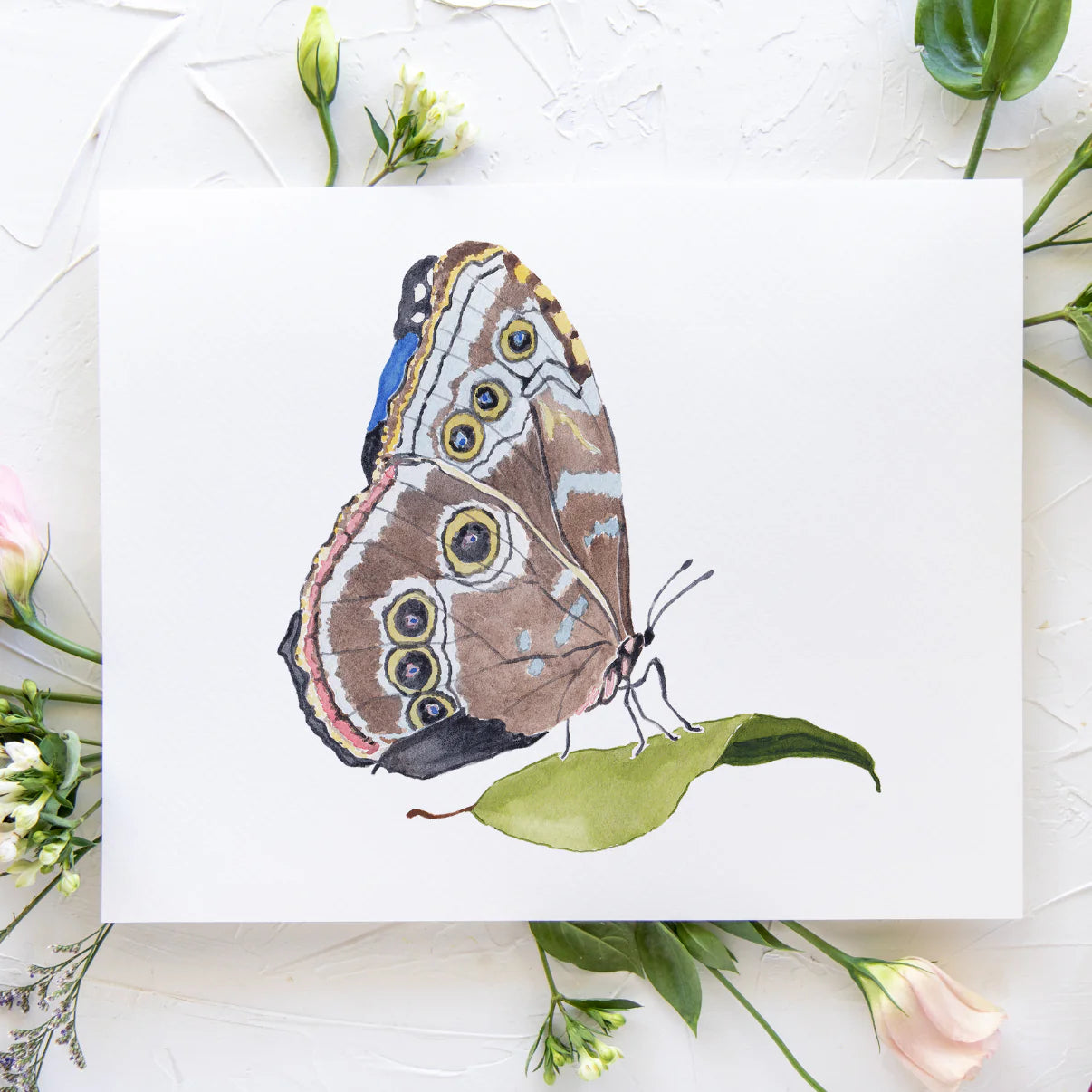 Butterfly No. 7 Print 8x10