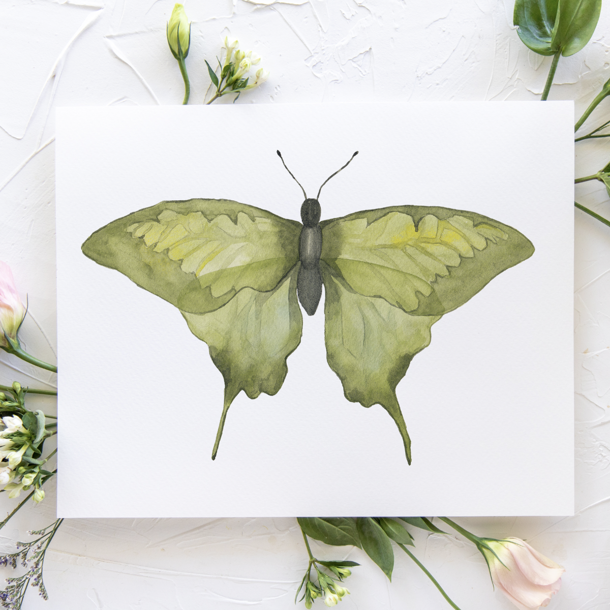 Butterfly No. 9 Print 8x10