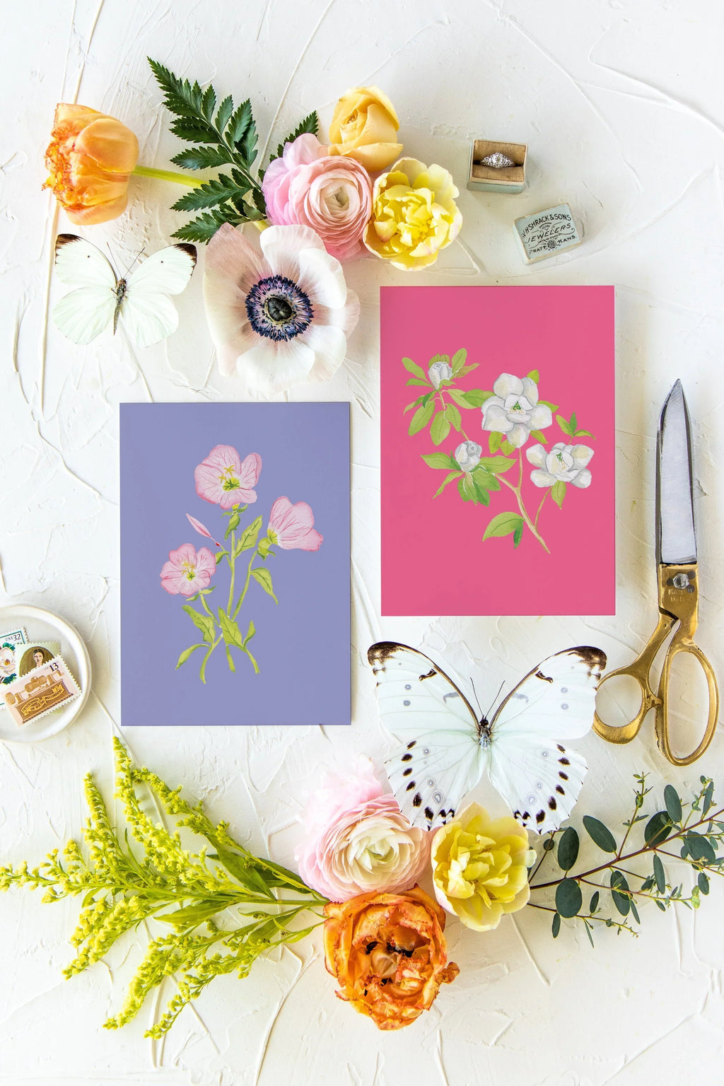 Colorful Botanical 5x7 Print - Pink Evening Primrose