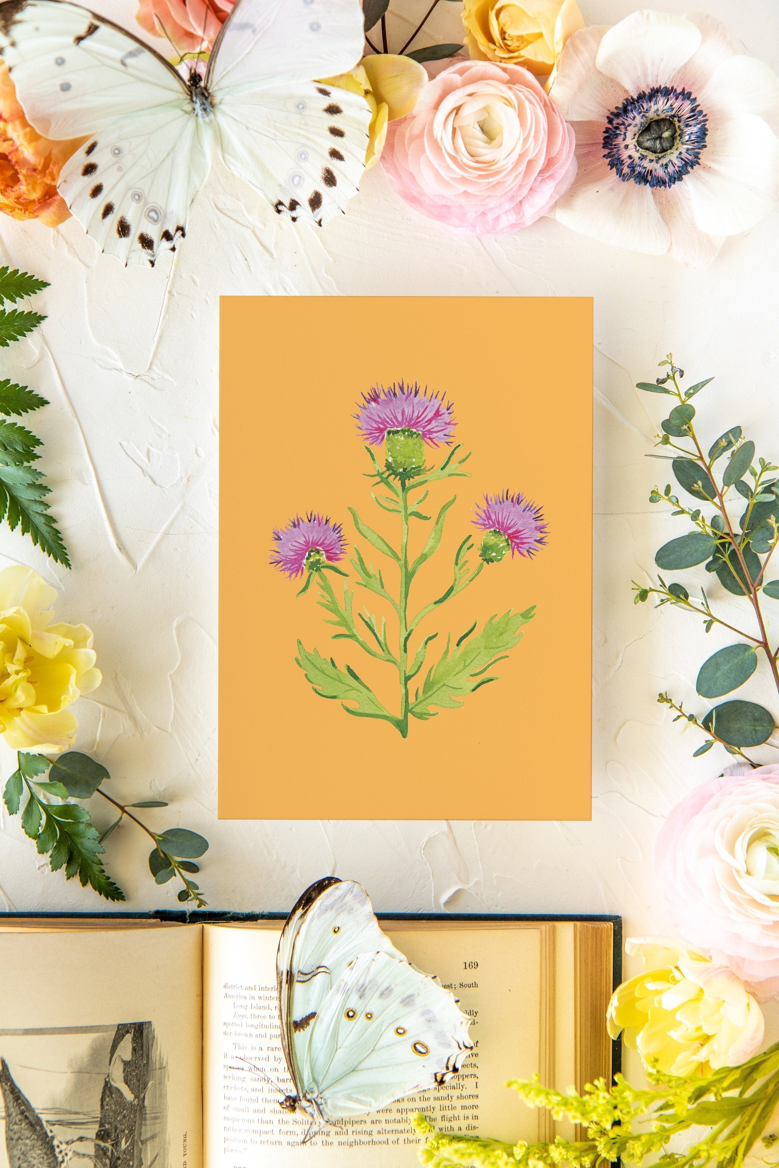 Colorful Botanical 5x7 Print - Purple Thistle