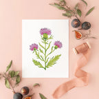 Botanical Art Prints 8x10 - Purple Thistle