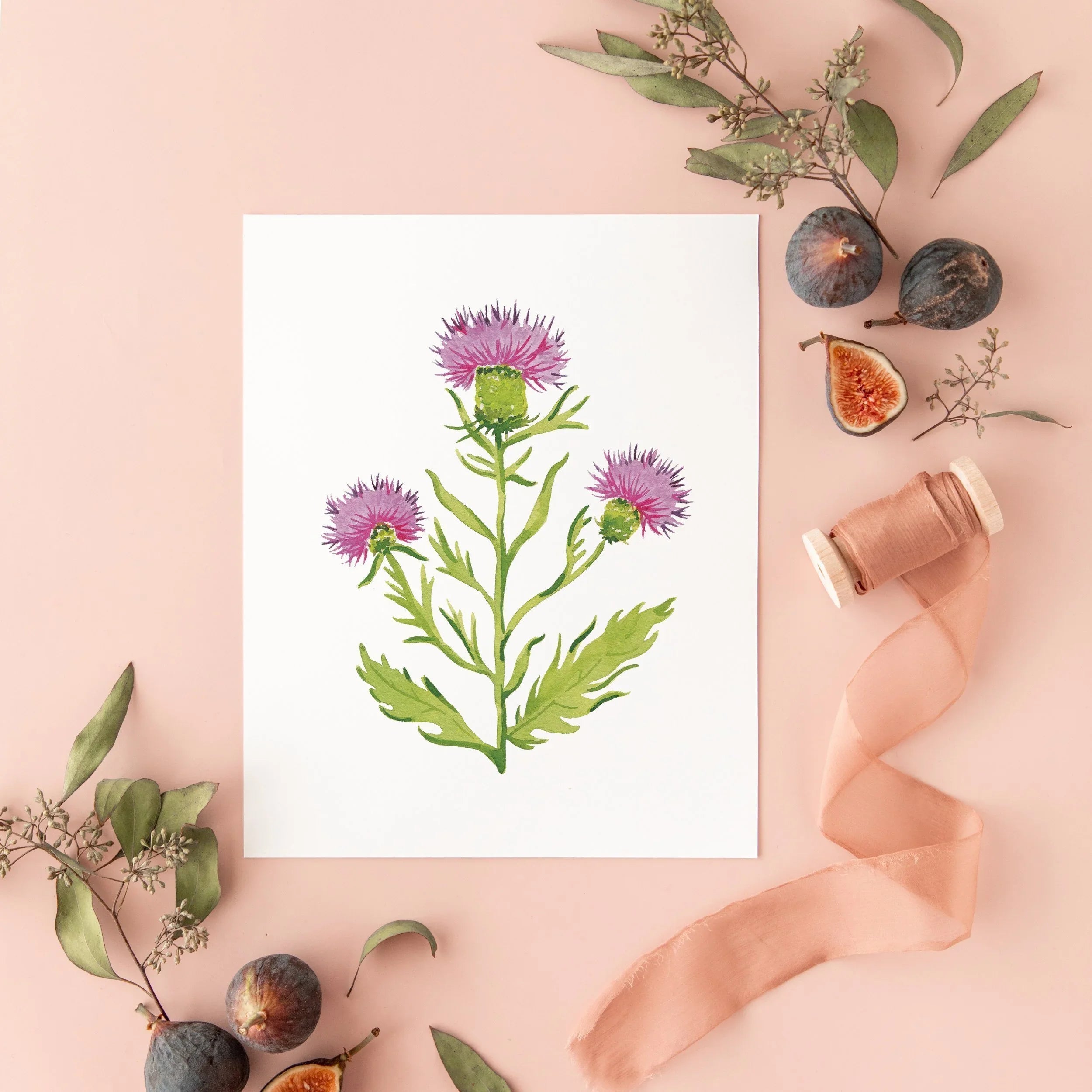 Botanical Art Prints 8x10 - Purple Thistle