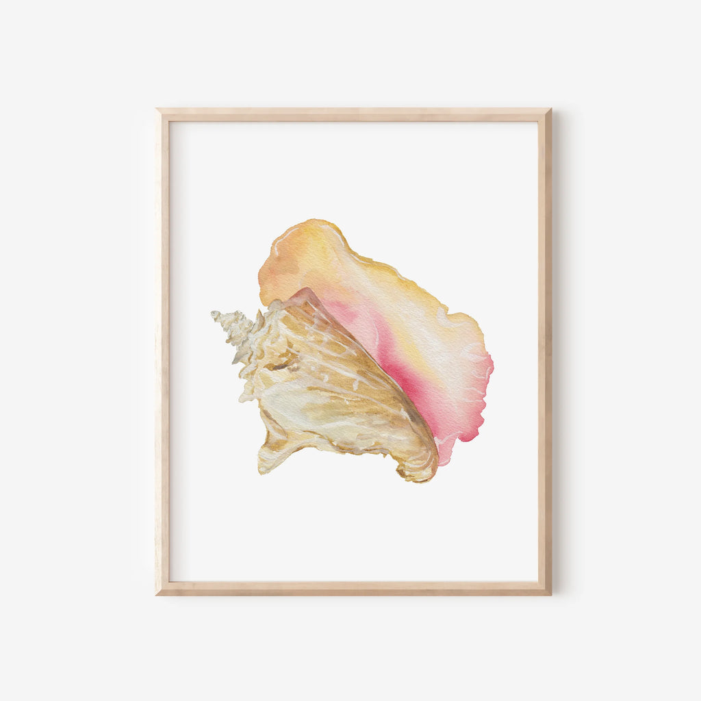 Queen Conch Art Print 8x10