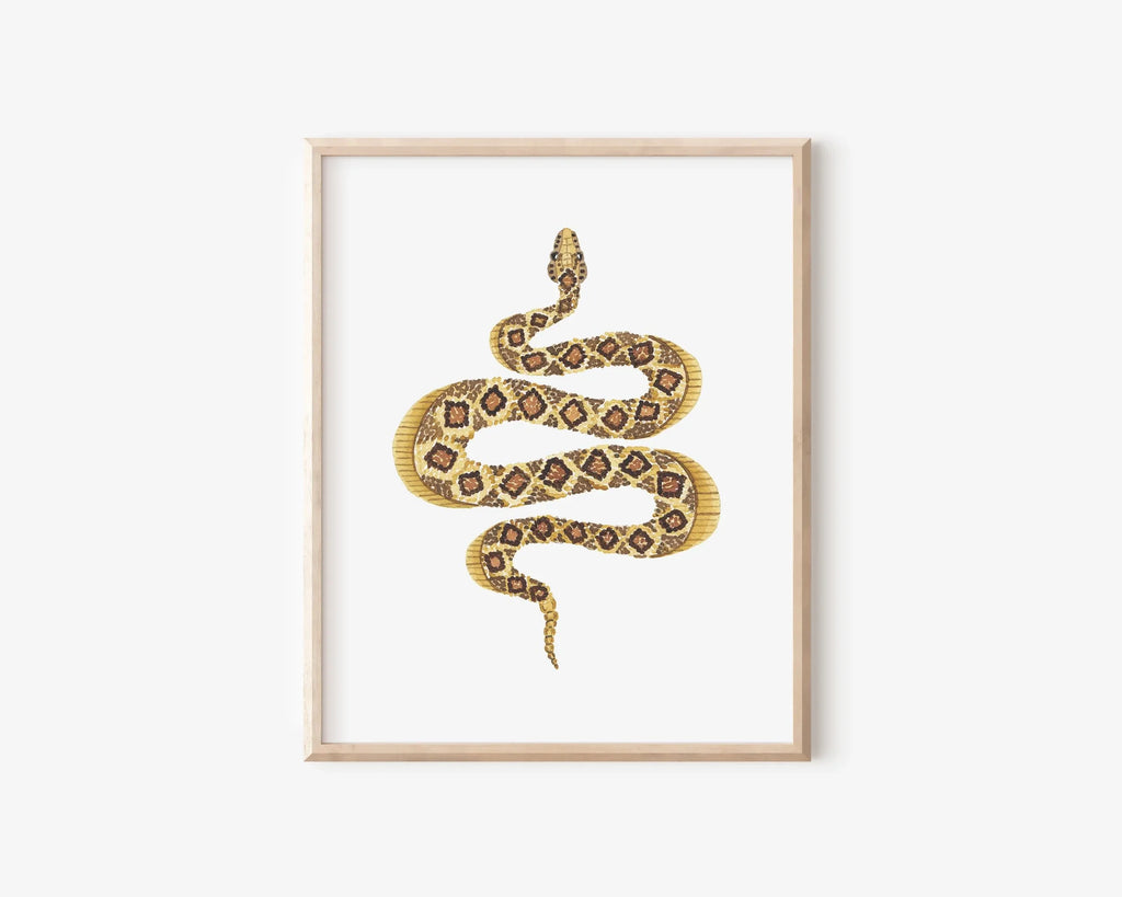 Rattlesnake Art Print 8x10