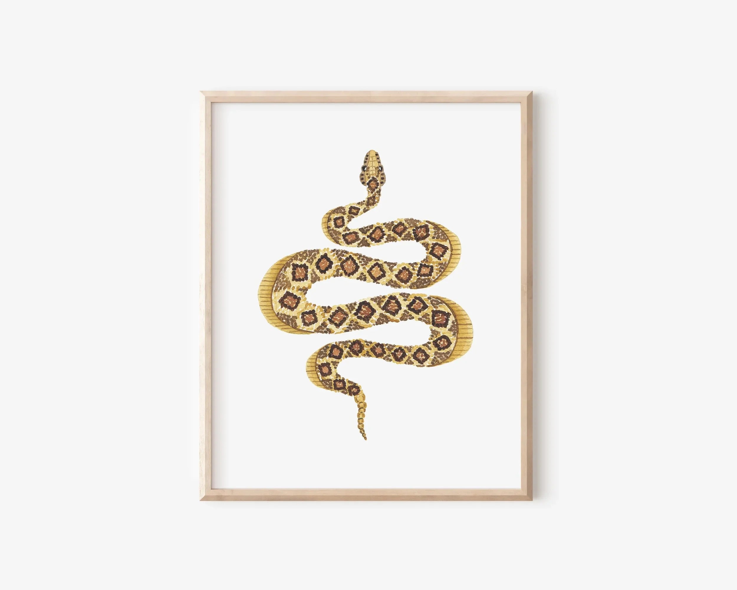 Rattlesnake Art Print 8x10
