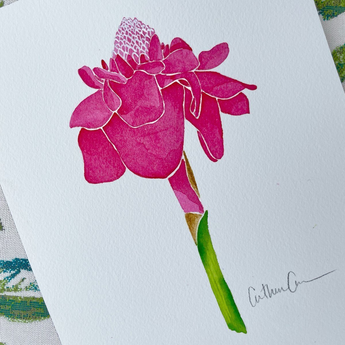 Botanical Original Painting - Red Torch Ginger