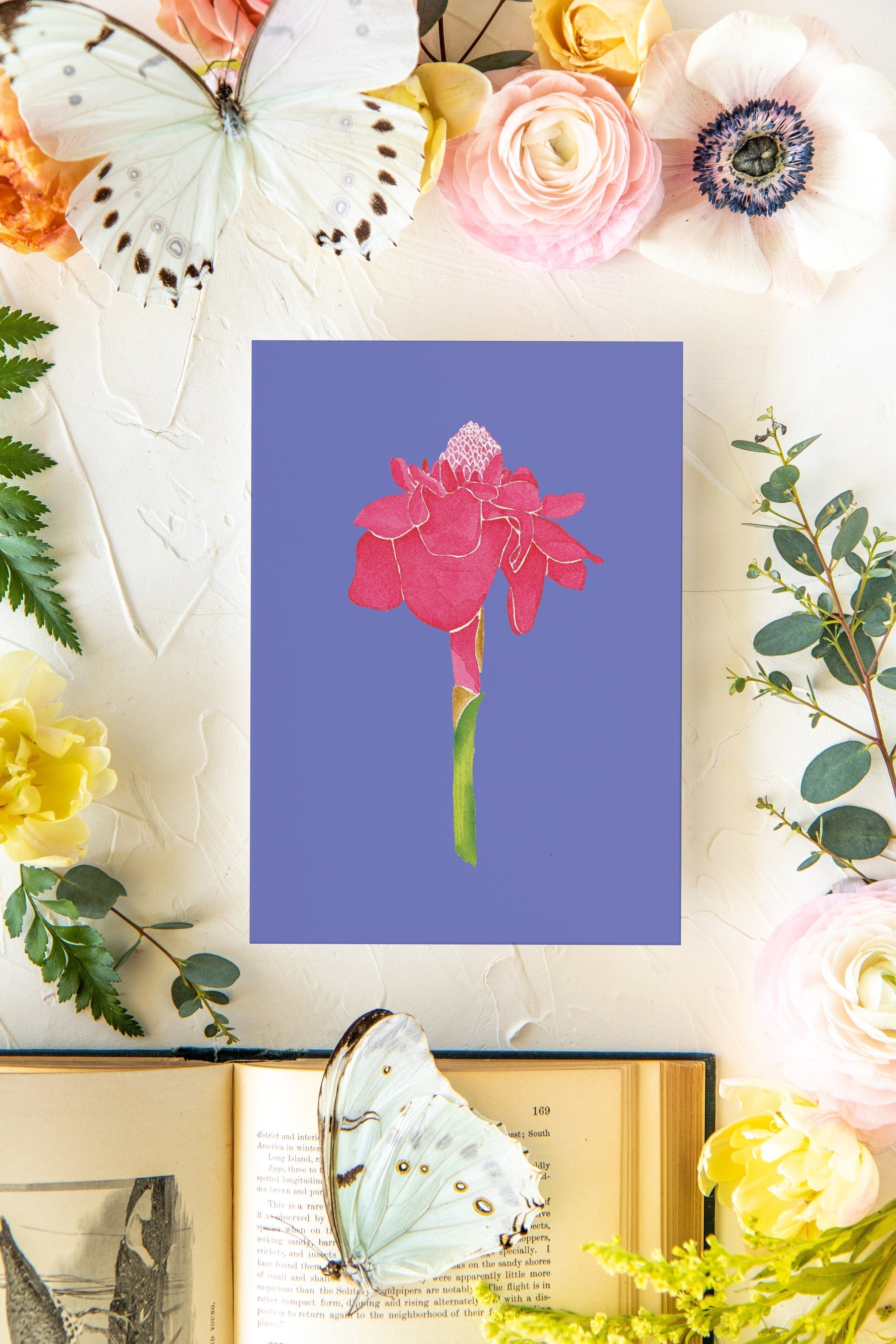 Colorful Botanical 5x7 Print - Red Torch Ginger
